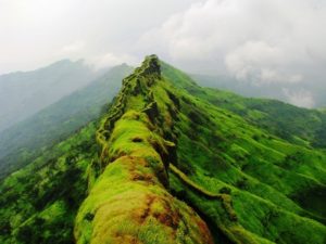 Rajgad Fort Near Pune – A fascinating treck in Maharashtra