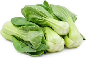 Chinese cabbage or bok choy