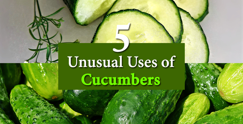 5 Unusual Uses Of Cucumbers Trafali